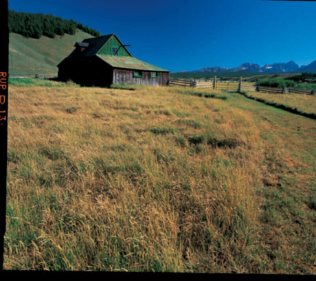 Vintage film western inspiration