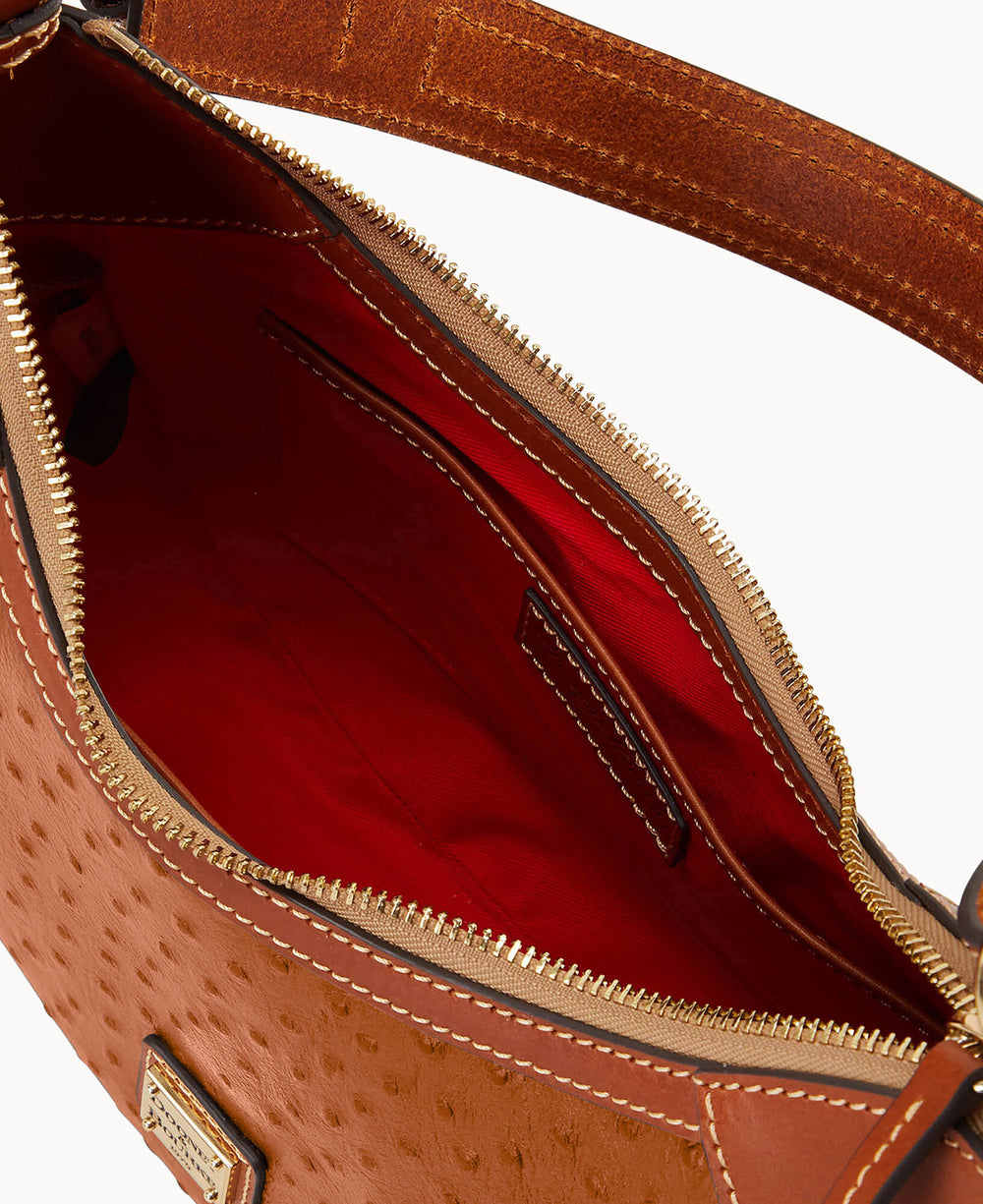 B1956G_OTCAPAKR_ALT2