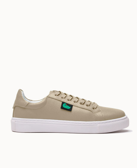 DW0600_LTTPLTTPW060