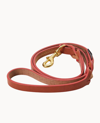 Other Dog Leash 4'