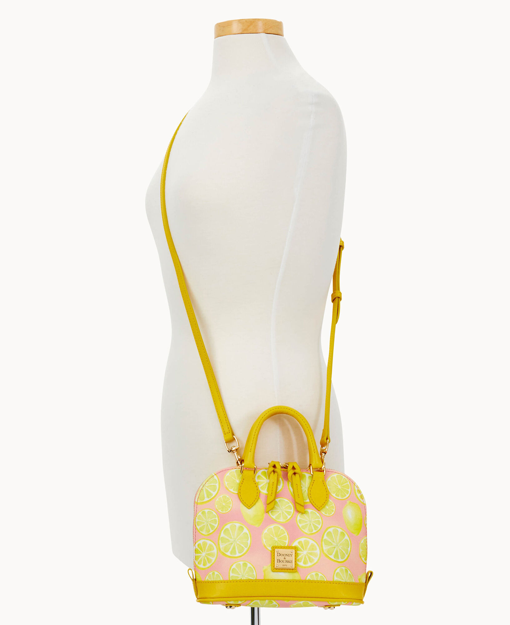 Dooney and bourke bitsy bag store