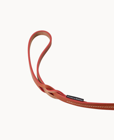 Other Dog Leash 4'