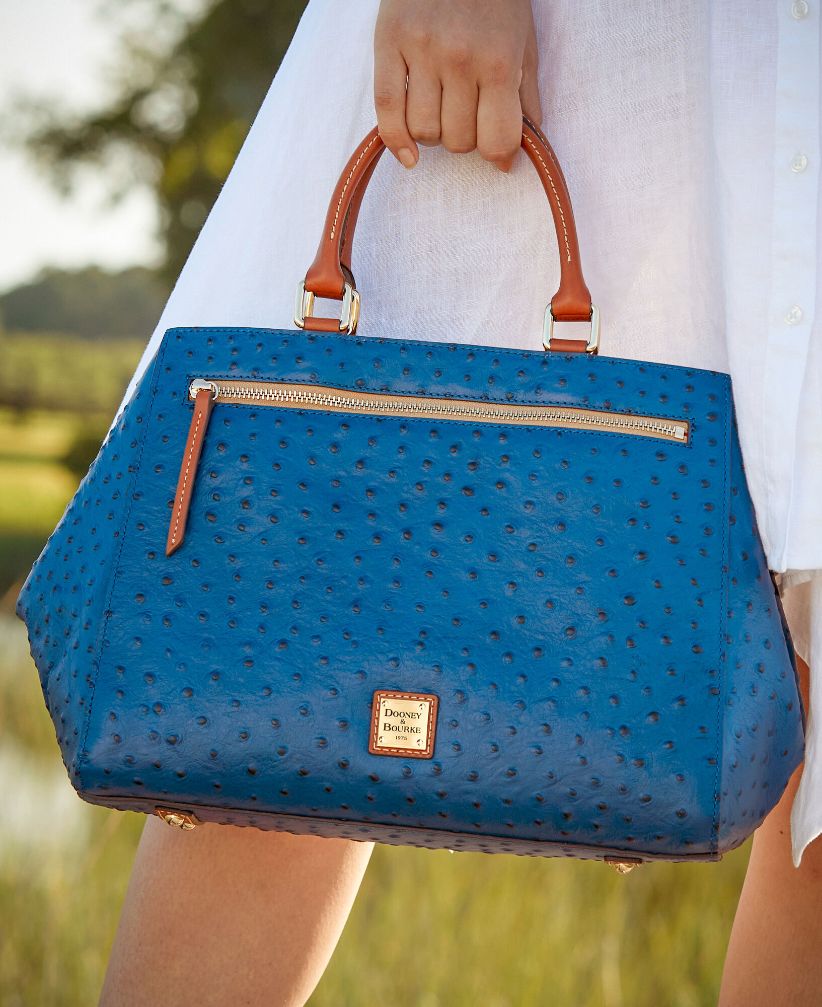 Dooney Bourke Blue Signature Silhouette Tote Bag