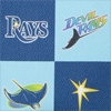 MLB Rays Top Zip Crossbody