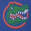 Collegiate University of Florida Large Sac