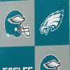 NFL Eagles Domed Zip Satchel