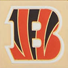 NFL Bengals Large Slim Wristlet