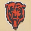 NFL Bears Izzy Bag