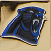 NFL Panthers Triple Zip Crossbody