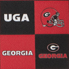 Collegiate University of Georgia Stadium Wristlet