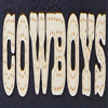 NFL Cowboys Triple Zip Crossbody