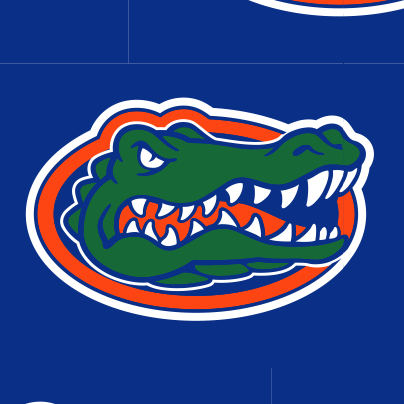 Collegiate University of Florida North South Top Zip Crossbody