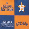 MLB Astros Baguette