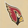 NFL AZ Cardinals Triple Zip Crossbody