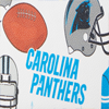NFL Panthers Large Zip Around Wristlet