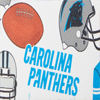 NFL Panthers Zip Zip Satchel