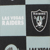 NFL Raiders Stadium Wristlet