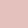 Nylon Small Daniela