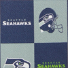 NFL Seahawks Stadium Wristlet