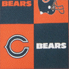 NFL Bears Top Zip Crossbody