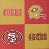 NFL 49ERS Stadium Wristlet