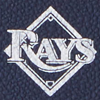 MLB Rays Large Framed Purse