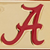 Collegiate University of Alabama Large Slim Wristlet