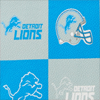 NFL Lions Top Zip Crossbody